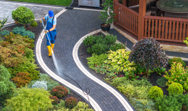 Best Residential Pressure Washing Services  in Cibecue, AZ